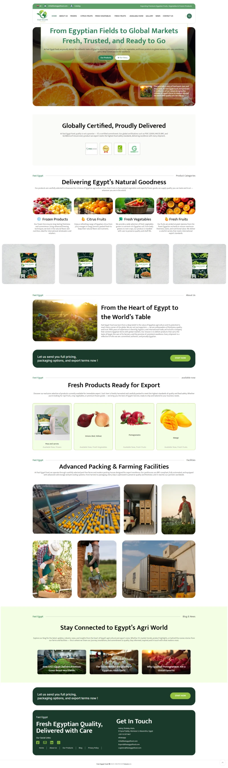Fast Egypt Food | Agricultural Export